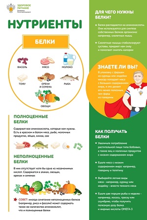 4_Nutrienty_Belki_page-0001.jpg